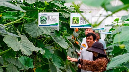 空間站與“卡脖子”，中國在警醒中爭取“逆襲