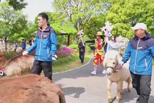 無錫動物園：春季游園會浪漫上演