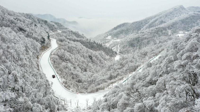 湖北?？惮F(xiàn)森林霧凇景觀 如水墨畫(huà)卷